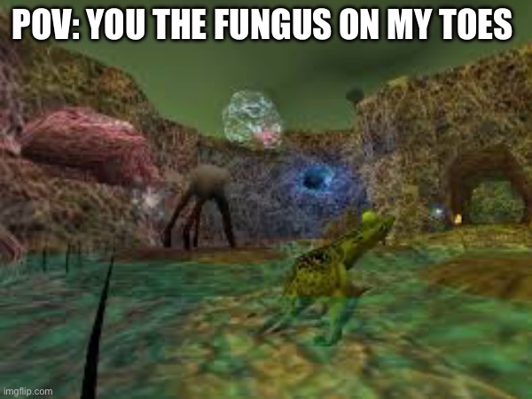 Btw I’m not hating on half-life | POV: YOU THE FUNGUS ON MY TOES | image tagged in half-life,valve,video games,gamers,disgusting | made w/ Imgflip meme maker