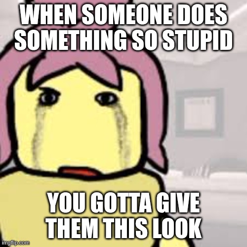 this is how I feel with my classmates | WHEN SOMEONE DOES SOMETHING SO STUPID; YOU GOTTA GIVE THEM THIS LOOK | image tagged in the look,forsaken | made w/ Imgflip meme maker
