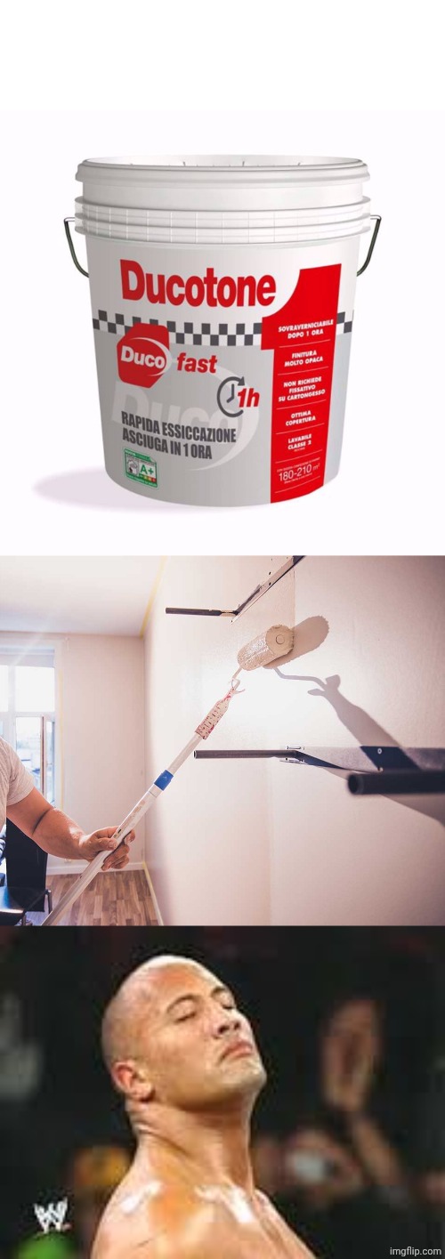 image tagged in ducotone,the rock smells | made w/ Imgflip meme maker