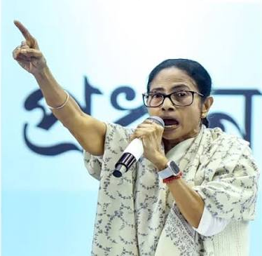 Mamata Banerjee Blank Meme Template