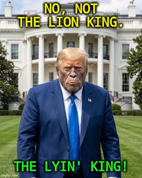 Proof of evolution, for those that need one. | NO, NOT THE LION KING. THE LYIN' KING! | image tagged in president trump ape chimp monkey white house lion king,trump,evolution,ape,liar,lion king | made w/ Imgflip meme maker