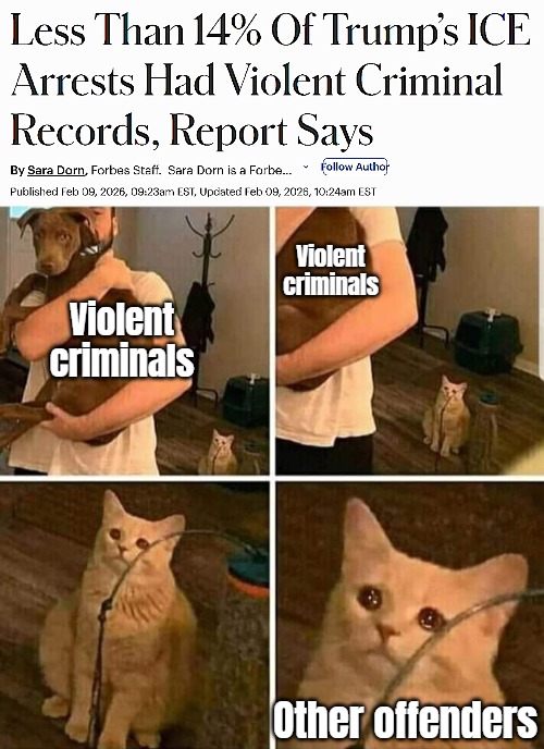 Dems could start allowing them to pick them up in jail and courthouses again instead of these catch and & release policies | Violent criminals; Violent criminals; Other offenders | image tagged in sad cat holding dog,illegal immigrants,deportation,politics,propaganda | made w/ Imgflip meme maker