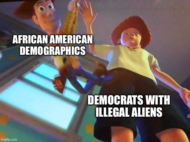 ANDY DROPPING WOODY | AFRICAN AMERICAN DEMOGRAPHICS; DEMOCRATS WITH ILLEGAL ALIENS | image tagged in andy dropping woody,discarded,democrats,illegal immigration | made w/ Imgflip meme maker