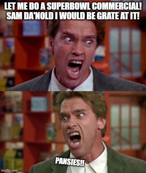 SUPERBOWL ARNOLD SCHWARZENEGGER | LET ME DO A SUPERBOWL COMMERCIAL!
SAM DA'NOLD I WOULD BE GRATE AT IT! PANSIES!! | image tagged in arnold schwarzenegger yelling,arnold schwarzenegger screaming kindergarten cop | made w/ Imgflip meme maker