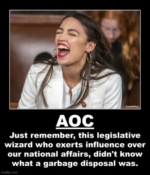 Democrats set the standards so low you need a shovel to dig them up. | image tagged in aoc,alexandria ocasio-cortez,democrat,dumbass,political | made w/ Imgflip meme maker