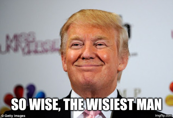 Donald trump approves | SO WISE, THE WISIEST MAN | image tagged in donald trump approves | made w/ Imgflip meme maker