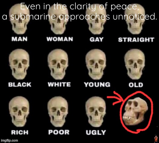 idiot skull | Even in the clarity of peace, a submarine approaches unnoticed. | image tagged in idiot skull | made w/ Imgflip meme maker
