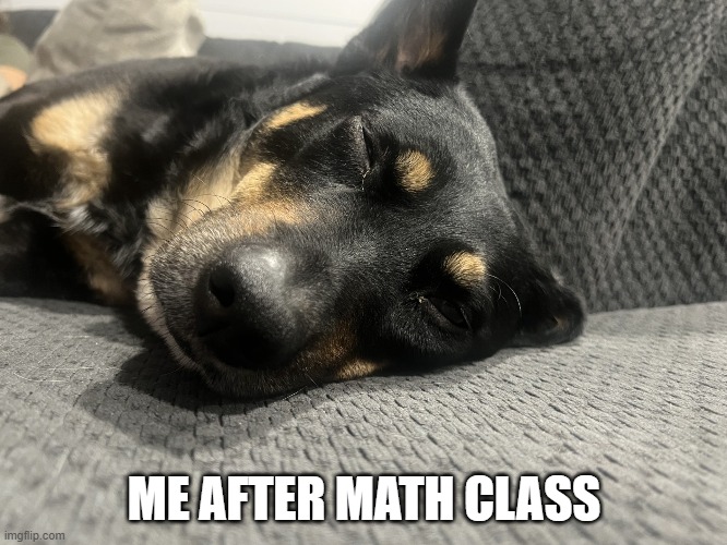 she took a nap | ME AFTER MATH CLASS | image tagged in doge,cute puppy,sleepy | made w/ Imgflip meme maker