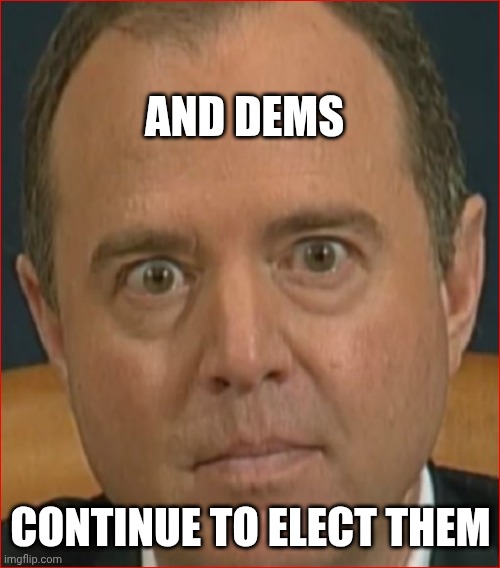 Adam Schiff | AND DEMS CONTINUE TO ELECT THEM | image tagged in adam schiff | made w/ Imgflip meme maker