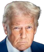 trump stare Meme Template