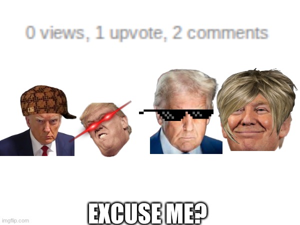 bruh | EXCUSE ME? | image tagged in trump | made w/ Imgflip meme maker