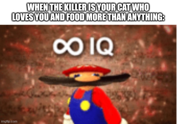 Infinite IQ | WHEN THE KILLER IS YOUR CAT WHO LOVES YOU AND FOOD MORE THAN ANYTHING: | image tagged in infinite iq | made w/ Imgflip meme maker