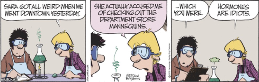 Zits | image tagged in comics | made w/ Imgflip meme maker