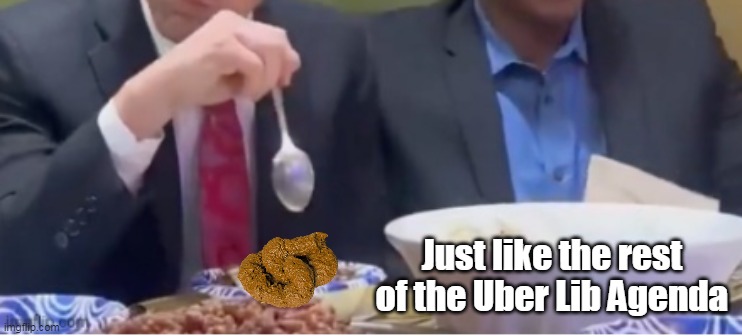 Just like the rest of the Uber Lib Agenda | made w/ Imgflip meme maker