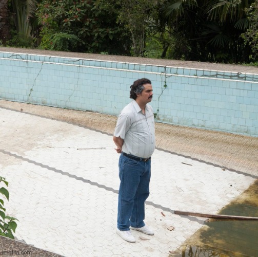 Escobar Swimming Pool | image tagged in escobar swimming pool | made w/ Imgflip meme maker