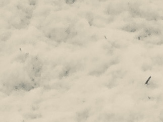 Snow Mirror Image Mode Blank Meme Template