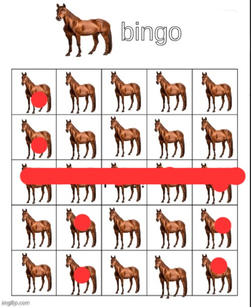 horse bingo | image tagged in bingo | made w/ Imgflip meme maker