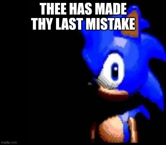 your mistake | THEE HAS MADE THY LAST MISTAKE | image tagged in sonic is pissed | made w/ Imgflip meme maker