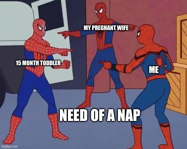 Need of a Nap | MY PREGNANT WIFE; 15 MONTH TODDLER; ME; NEED OF A NAP | image tagged in family life | made w/ Imgflip meme maker