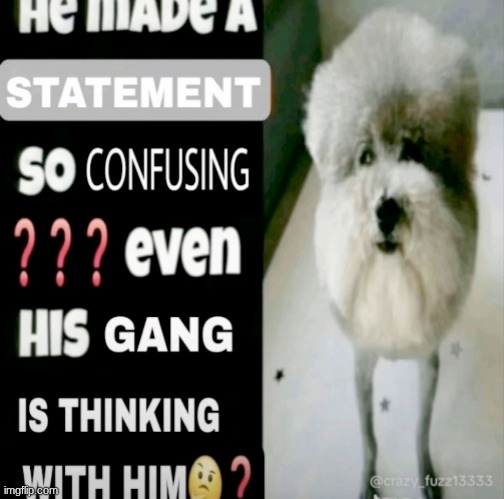He made a statement so confusing | image tagged in he made a statement so confusing | made w/ Imgflip meme maker