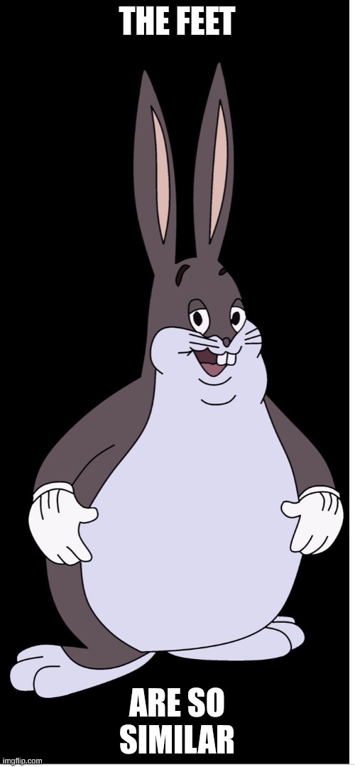 the feet | THE FEET ARE SO SIMILAR | image tagged in johanna | made w/ Imgflip meme maker