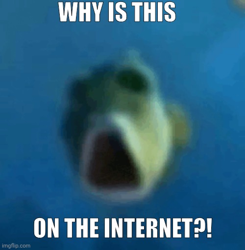 Shocked fish | WHY IS THIS; ON THE INTERNET?! | image tagged in funny meme,reaction | made w/ Imgflip meme maker