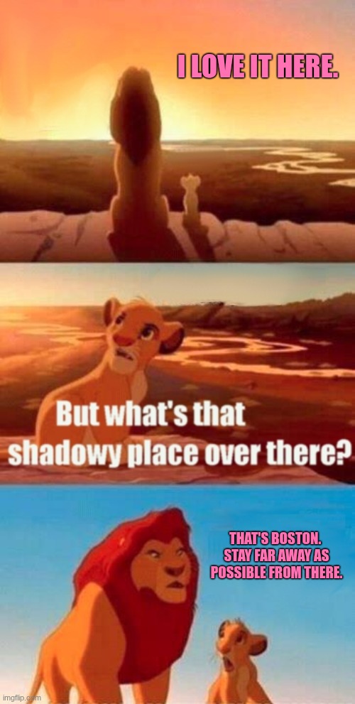 Boston blows. | I LOVE IT HERE. THAT'S BOSTON. 
STAY FAR AWAY AS POSSIBLE FROM THERE. | image tagged in simba shadowy place,boston | made w/ Imgflip meme maker