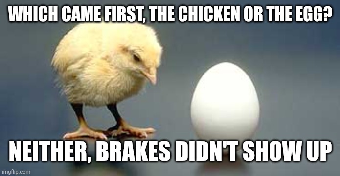 Chicken and Egg | WHICH CAME FIRST, THE CHICKEN OR THE EGG? NEITHER, BRAKES DIDN'T SHOW UP | image tagged in chicken and egg | made w/ Imgflip meme maker