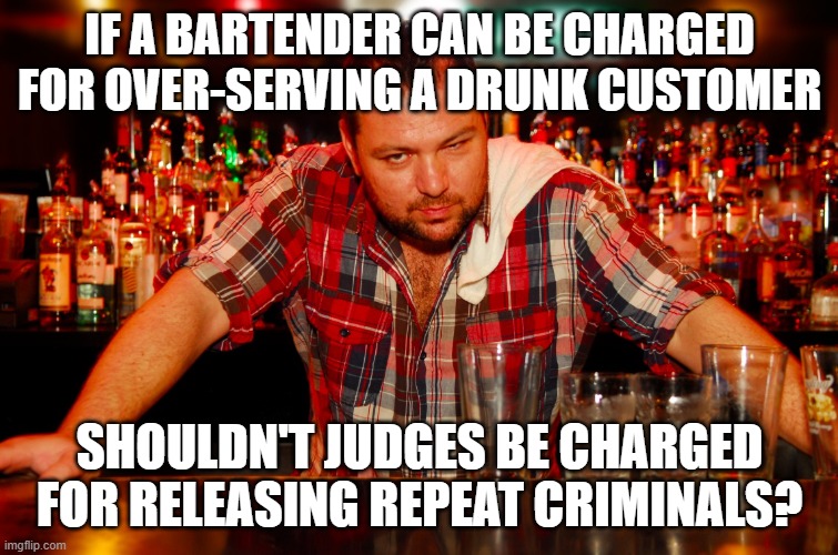 annoyed bartender | IF A BARTENDER CAN BE CHARGED FOR OVER-SERVING A DRUNK CUSTOMER SHOULDN'T JUDGES BE CHARGED FOR RELEASING REPEAT CRIMINALS? | image tagged in annoyed bartender | made w/ Imgflip meme maker