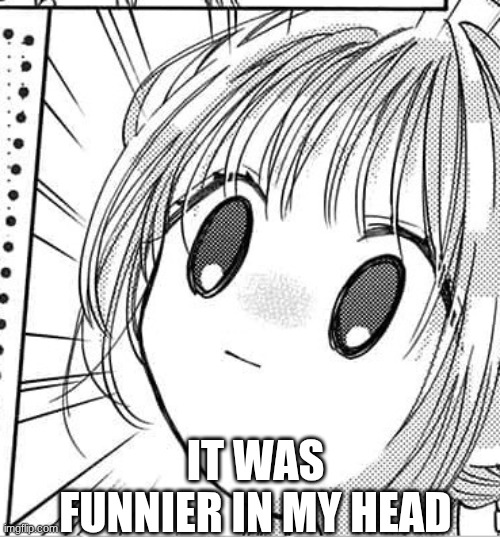 stunned anime girl | IT WAS FUNNIER IN MY HEAD | image tagged in stunned anime girl | made w/ Imgflip meme maker