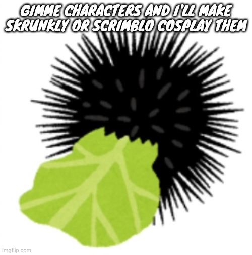 Illustration of a sea urchin eating cabbage | GIMME CHARACTERS AND I'LL MAKE SKRUNKLY OR SCRIMBLO COSPLAY THEM | image tagged in illustration of a sea urchin eating cabbage | made w/ Imgflip meme maker