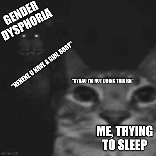 Let me go pls I beg you I want to sleep | GENDER DYSPHORIA; "HEHEHE U HAVE A GIRL BODY"; "SYBAU I'M NOT DOING THIS RN"; ME, TRYING TO SLEEP | image tagged in he s behind me isn t he | made w/ Imgflip meme maker