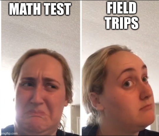 my Opinion | FIELD TRIPS; MATH TEST | image tagged in kombucha girl | made w/ Imgflip meme maker