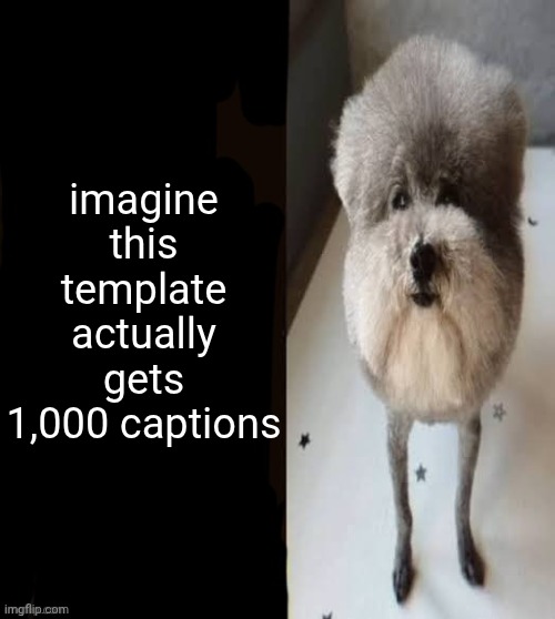 he made a statement blank | imagine this template actually gets 1,000 captions | image tagged in he made a statement blank | made w/ Imgflip meme maker