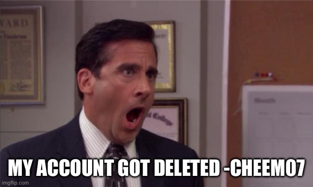 It’s me cheem07 can I get mod back | MY ACCOUNT GOT DELETED -CHEEM07 | image tagged in noooooo,banana | made w/ Imgflip meme maker