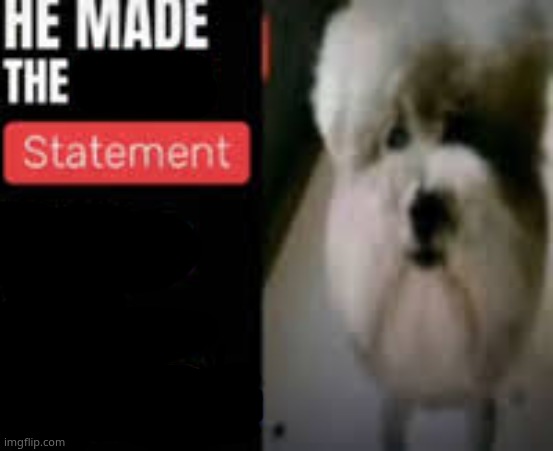 he made the worst statement ever in the world | image tagged in he made the worst statement ever in the world | made w/ Imgflip meme maker