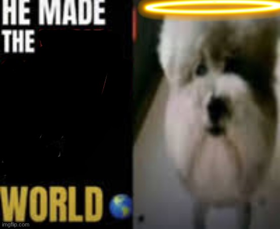 dog --> god | image tagged in he made the worst statement ever in the world | made w/ Imgflip meme maker