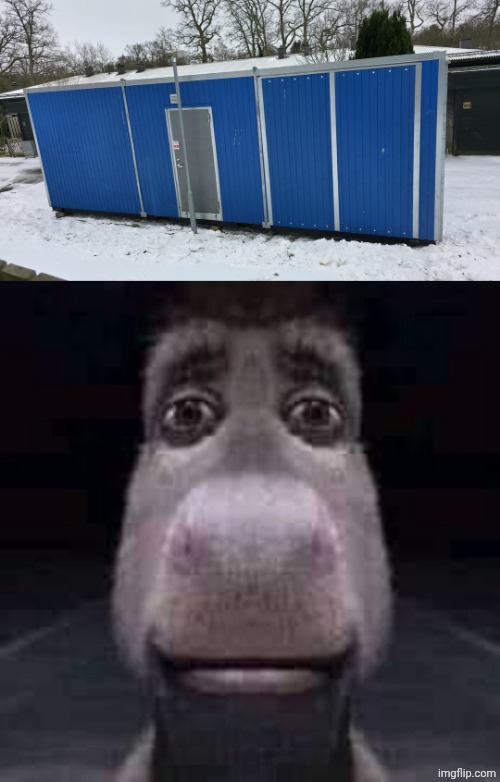 Pole in front of the door | image tagged in donkey staring,pole,door,building,you had one job,memes | made w/ Imgflip meme maker