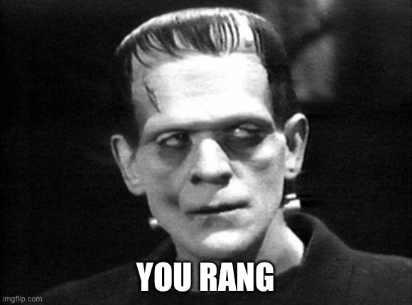The Addams Family | YOU RANG | image tagged in frankenstein,addams family | made w/ Imgflip meme maker