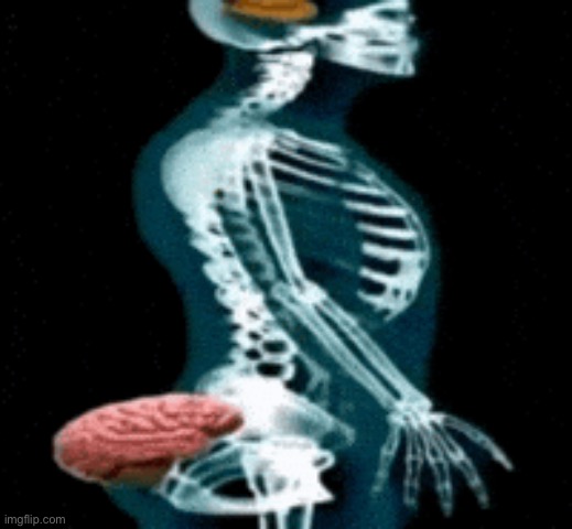 headass | image tagged in headass | made w/ Imgflip meme maker