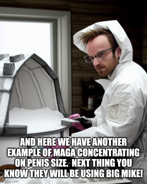 Snowcones | AND HERE WE HAVE ANOTHER EXAMPLE OF MAGA CONCENTRATING ON PENIS SIZE.  NEXT THING YOU KNOW THEY WILL BE USING BIG MIKE! | image tagged in snowcones | made w/ Imgflip meme maker