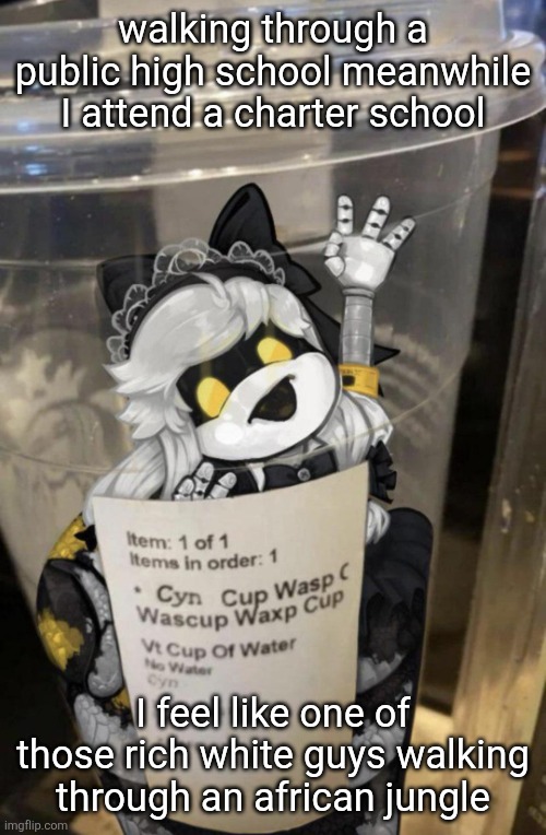 it's for drivers ed, now that I'm 15 my parents want me to learn how to drive immediately (at least somewhat) | walking through a public high school meanwhile I attend a charter school; I feel like one of those rich white guys walking through an african jungle | image tagged in cup of cyn | made w/ Imgflip meme maker