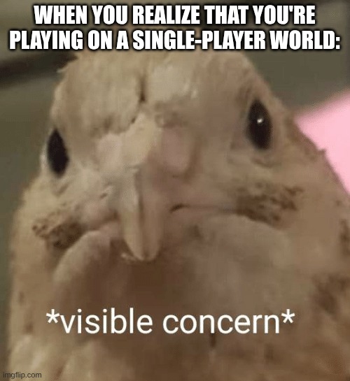 visible concern bird | WHEN YOU REALIZE THAT YOU'RE PLAYING ON A SINGLE-PLAYER WORLD: | image tagged in visible concern bird | made w/ Imgflip meme maker