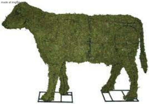 Moss cow | image tagged in moss cow | made w/ Imgflip meme maker
