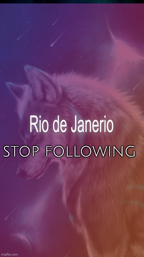 STOP FOLLOWING | image tagged in alpha wolf | made w/ Imgflip meme maker