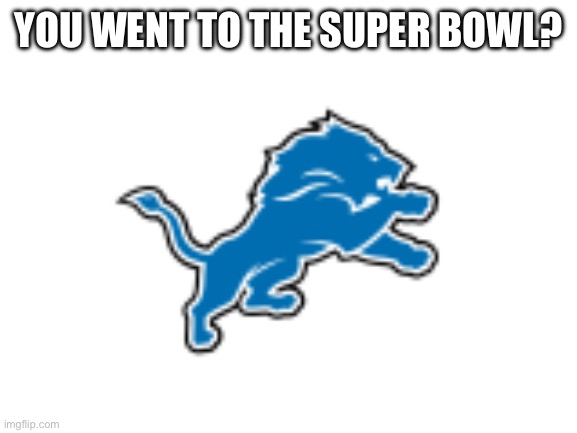 YOU WENT TO THE SUPER BOWL? | image tagged in blank white template | made w/ Imgflip meme maker