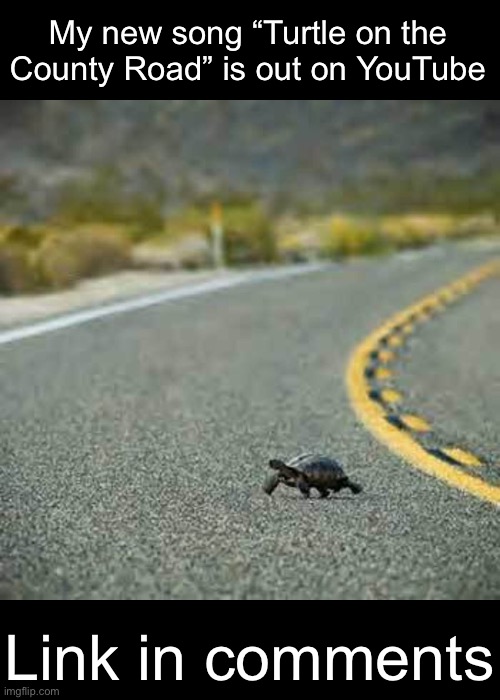 NEW SONG ALERT | My new song “Turtle on the County Road” is out on YouTube; Link in comments | made w/ Imgflip meme maker