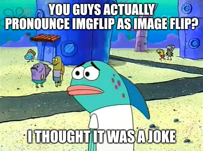 Spongebob I thought it was a joke | YOU GUYS ACTUALLY PRONOUNCE IMGFLIP AS IMAGE FLIP? I THOUGHT IT WAS A JOKE | image tagged in spongebob i thought it was a joke | made w/ Imgflip meme maker