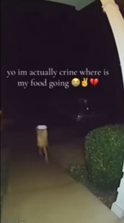 On Foot Delivery | made w/ Imgflip meme maker