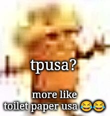 something something kid rock | tpusa? more like toilet paper usa 😂😂 | image tagged in the lowrax | made w/ Imgflip meme maker